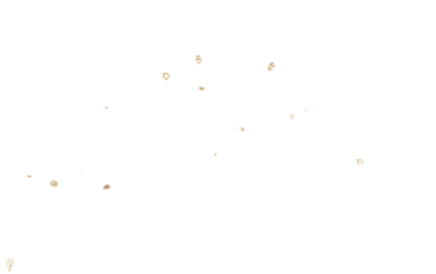 慶事や法事各種お祝いに